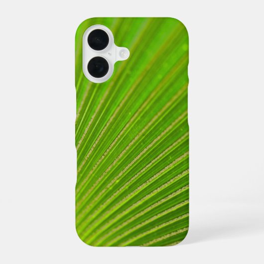 Coque iPhone 16 Macro feuille de palme (Verso)