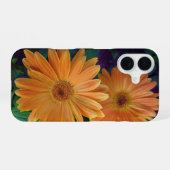 Coque iPhone 16 Marguerite Orange (Verso Horizontal)