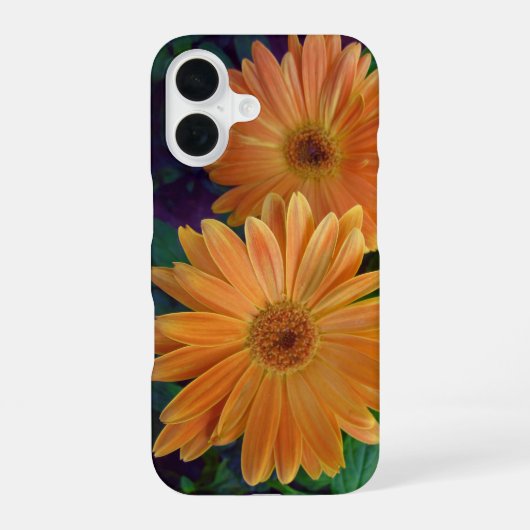 Coque iPhone 16 Marguerite Orange (Verso)