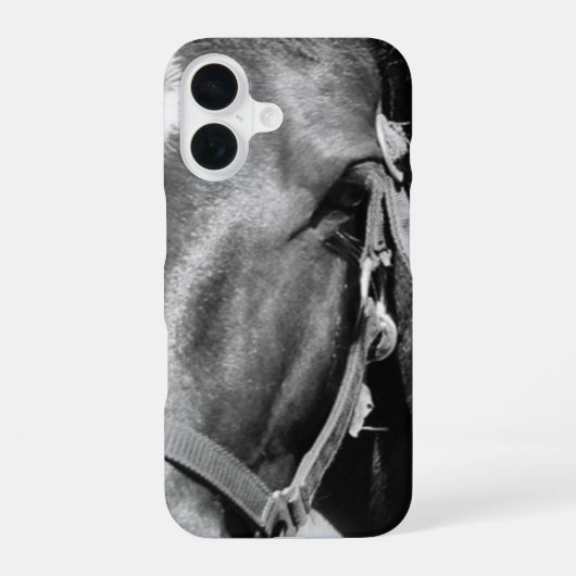Coque iPhone 16 Oeil de cheval rapproché (Verso)