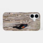 Coque iPhone 16 Oiseau roux (Verso Horizontal)