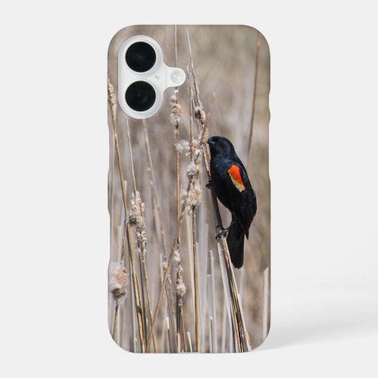 Coque iPhone 16 Oiseau roux (Verso)