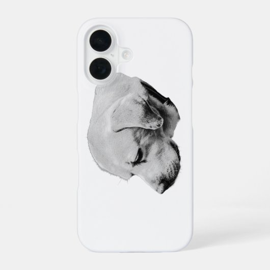 Coque iPhone 16 Ombre douce (Verso)