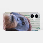 Coque iPhone 16 Orang-outan assis... (Verso Horizontal)