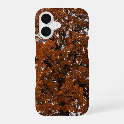 Coque iPhone 16 Orange Oak Tree Autumn Phone Case (Verso)