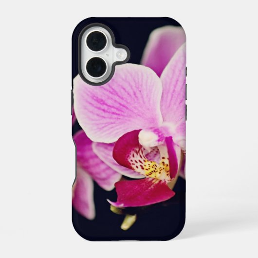 Coque iPhone 16 Orchidée rose fuchsia (Verso)