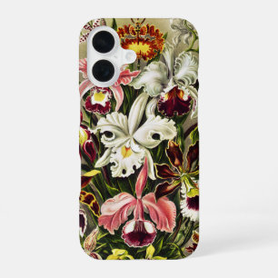 Coque iPhone 16 Orchidées, Orchideae Denusblumen Ernst Haeckel 