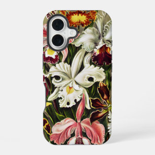 Coque iPhone 16 Orchidées, Orchidée Denusblumen Ernst Haeckel