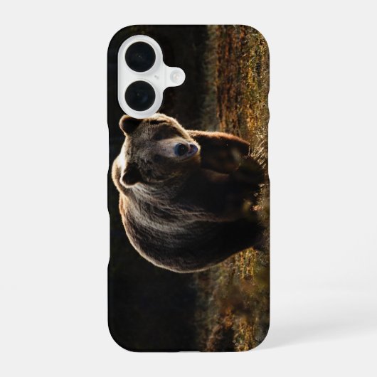 Coque iPhone 16 Ours (Verso)