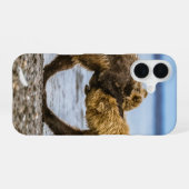 Coque iPhone 16 Ours bruns côtiers (Verso Horizontal)