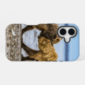 Coque iPhone 16 Ours bruns côtiers (Verso Horizontal)