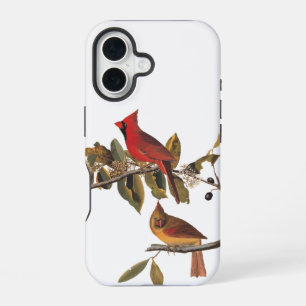 Coque iPhone 16 Paire de cardinaux d'Audubon dans un arbre d'amand