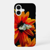 Coque iPhone 16 Papillon sur Fleur Orange Fierté - Bold Nature Art (Verso)