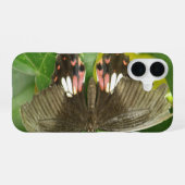 Coque iPhone 16 Papillon swallowtail écarlate (Verso Horizontal)