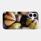 Coque iPhone 16 Petits Coquillages Colorés (Verso Horizontal)