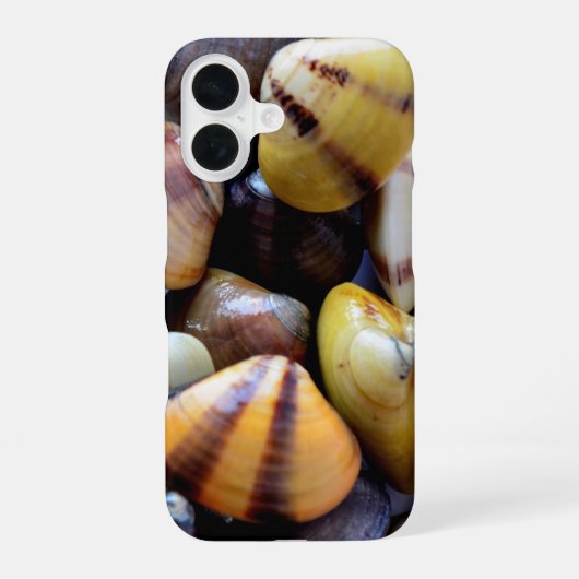 Coque iPhone 16 Petits Coquillages Colorés (Verso)