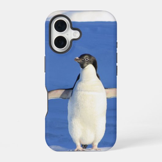 Coque iPhone 16 Photo d'ailes de manchot déployées (Verso)