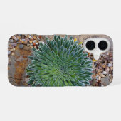 Coque iPhone 16 plante succulente du désert (Verso Horizontal)