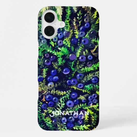 Coque iPhone 16 Plus Baies bleues sauvages (Verso)