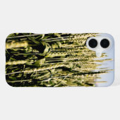 Coque iPhone 16 Plus Blé (Verso Horizontal)