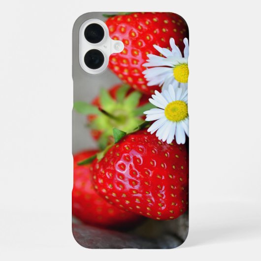 Coque iPhone 16 Plus Boîtier téléphonique de fraises (Verso)
