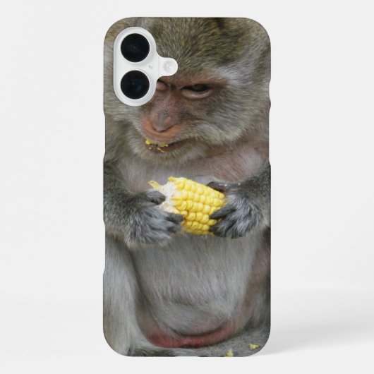 Coque iPhone 16 Plus C'est à moi !! ... Singe macaque sauvage thaïlanda (Verso)
