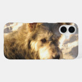 Coque iPhone 16 Plus Chien de plage thaïlandais (Verso Horizontal)