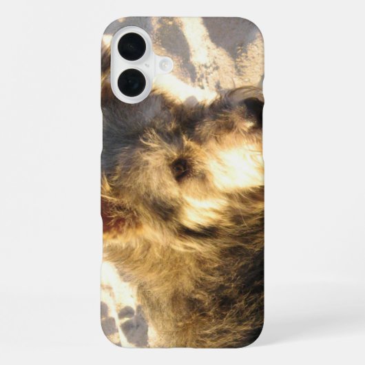 Coque iPhone 16 Plus Chien de plage thaïlandais (Verso)