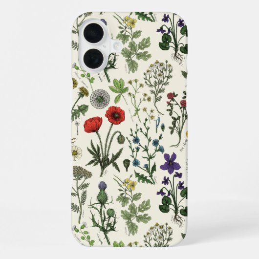 Coque iPhone 16 Plus Collage de fleurs sauvages (Verso)