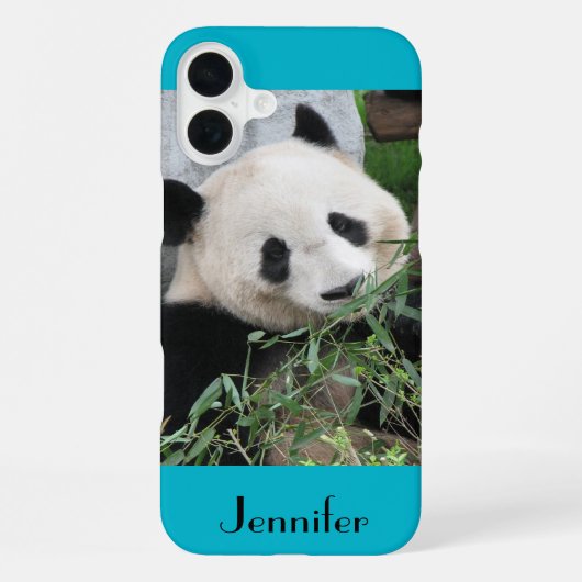Coque iPhone 16 Plus Cute Giant Panda Blue Background (Verso)