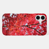 Coque iPhone 16 Plus Érable Japonais Rouge Clair (Verso Horizontal)