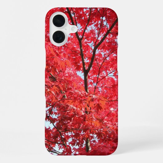 Coque iPhone 16 Plus Érable Japonais Rouge Clair (Verso)
