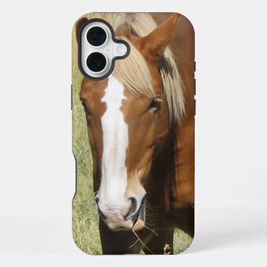 Coque iPhone 16 Plus Étui de téléphone Cheval (Verso)