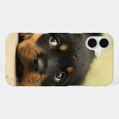 Coque iPhone 16 Plus Étui de téléphone chiot (Verso Horizontal)