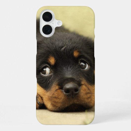 Coque iPhone 16 Plus Étui de téléphone chiot (Verso)