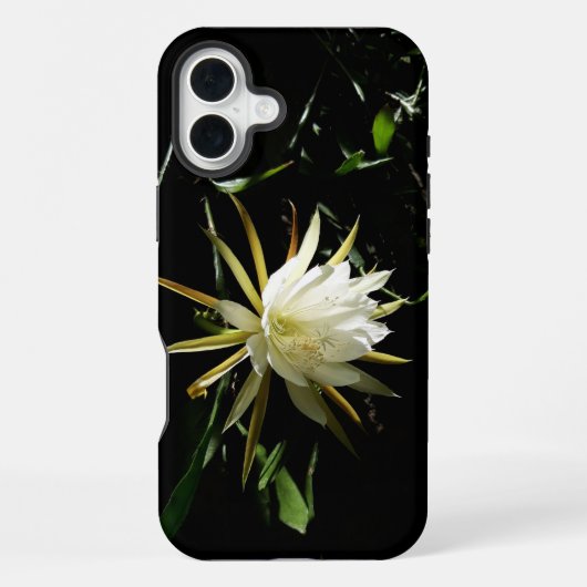 Coque iPhone 16 Plus Fleur de cactus (Verso)