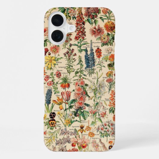 Coque iPhone 16 Plus Fleurs vintages (Verso)