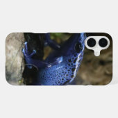 Coque iPhone 16 Plus Grenouille flèche empoisonnée bleue (Verso Horizontal)