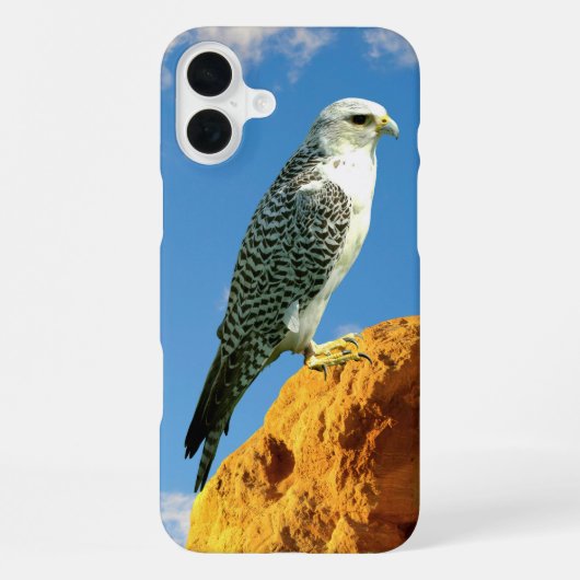 Coque iPhone 16 Plus Gyrfalcon perché sur un étui de téléphone (Verso)