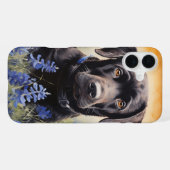 Coque iPhone 16 Plus Labrador noir dans les bleuets (Verso Horizontal)