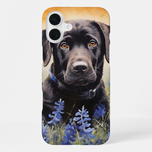 Coque iPhone 16 Plus Labrador noir dans les bleuets (Verso)