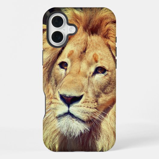Coque iPhone 16 Plus Lion (Verso)