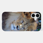 Coque iPhone 16 Plus lion (Verso Horizontal)
