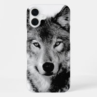 Loup noir et blanc