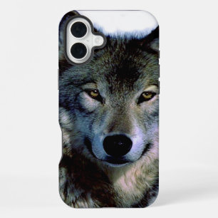 Coque iPhone 16 Plus Portrait de loup