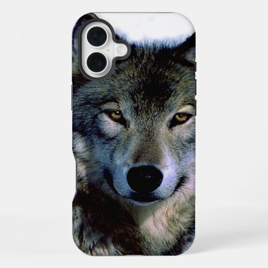 Coque iPhone 16 Plus Portrait Wolf (Verso)