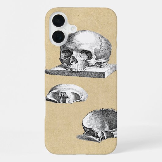 Coque iPhone 16 Plus Section de l'anatomie du crâne humain (Verso)