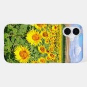 Coque iPhone 16 Plus Terrain de tournesol (Verso Horizontal)