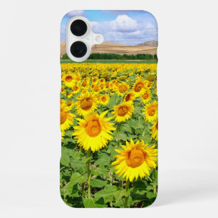 Coque iPhone 16 Plus Terrain de tournesol