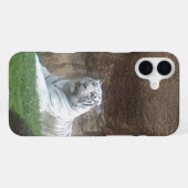 Coque iPhone 16 Plus Tigre Blanc (Verso Horizontal)